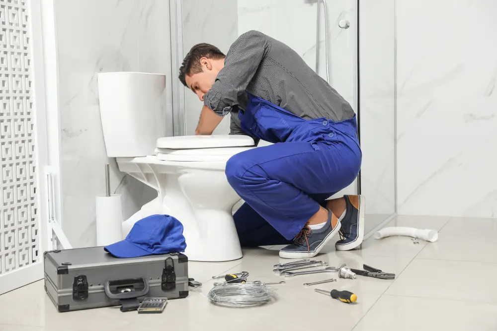 Toilet Installation in Willoughby